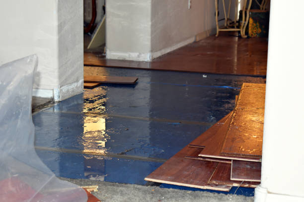 Professional Burst Pipe Cleanup technician working in Jewett City, CT